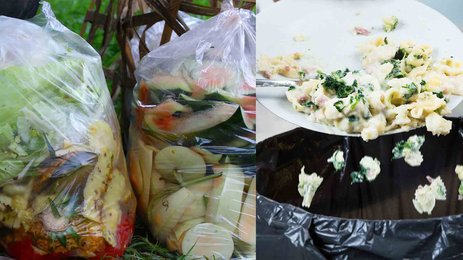 Image showing food wastage